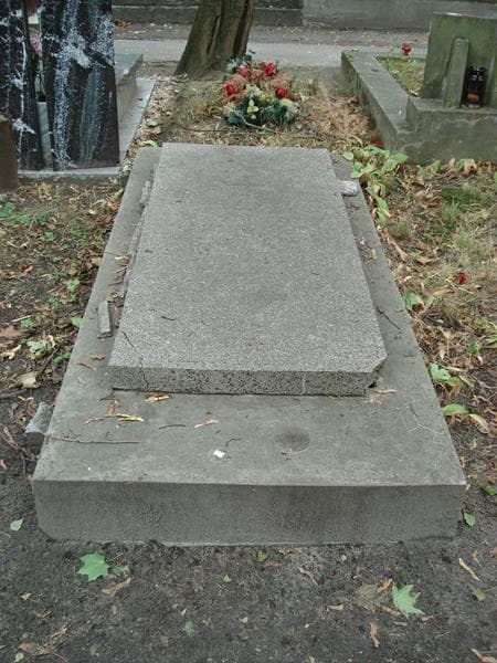 Zdjęcie grobu Gutkowie (1)