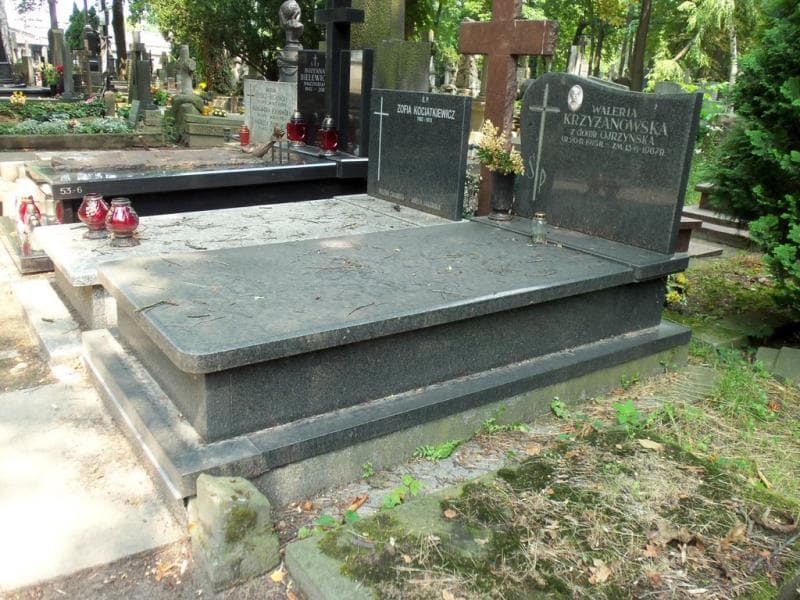 Zdjęcie grobu Waleria Krzyżanowska (1)