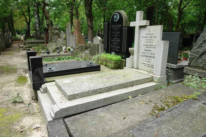 Zdjęcie grobu: Zygmunt Pawłowski