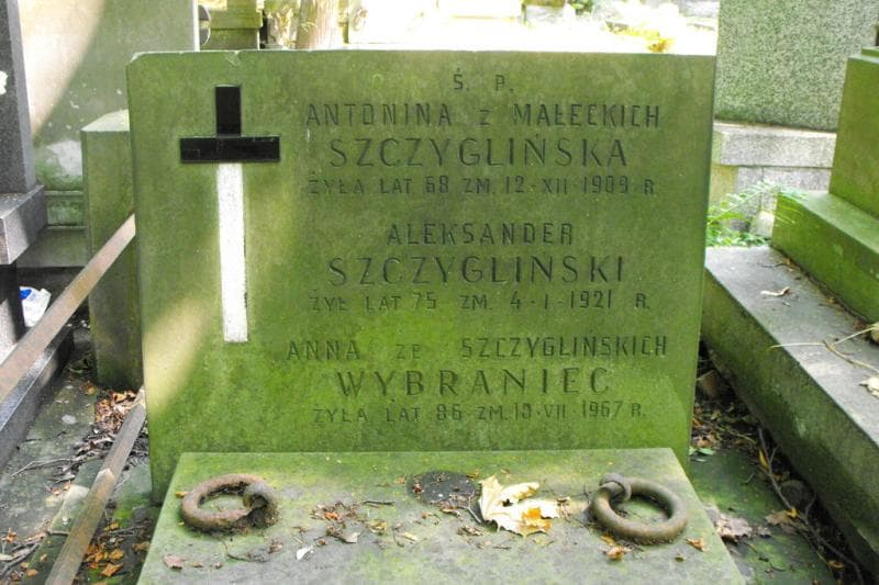 Zdjęcie grobu Anna Wybraniec (2)