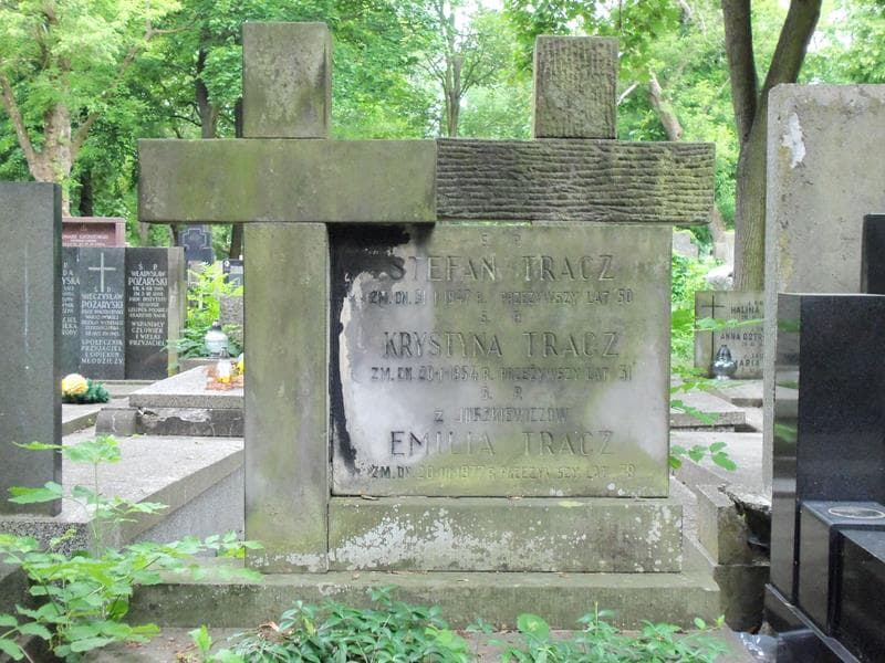 Zdjęcie grobu Krystyna Tracz (2)
