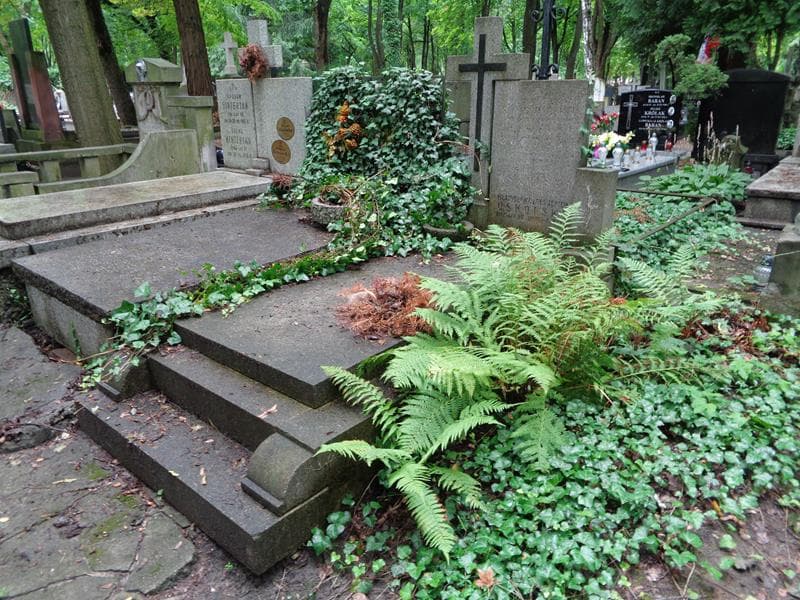 Zdjęcie grobu: Edward Bogucki