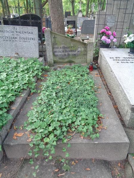 Zdjęcie grobu Nata Żołędzka (1)