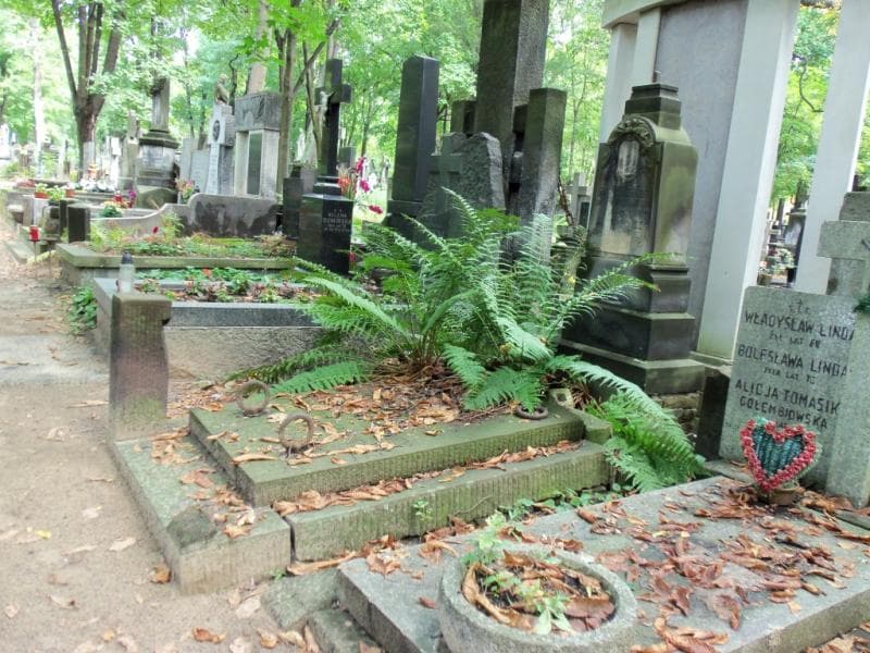 Zdjęcie grobu Katarzyna Janusiewicz (1)