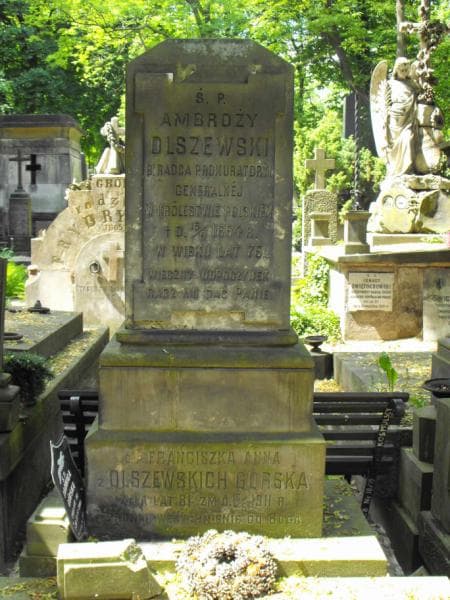 Zdjęcie grobu Taeusz Górski (2)