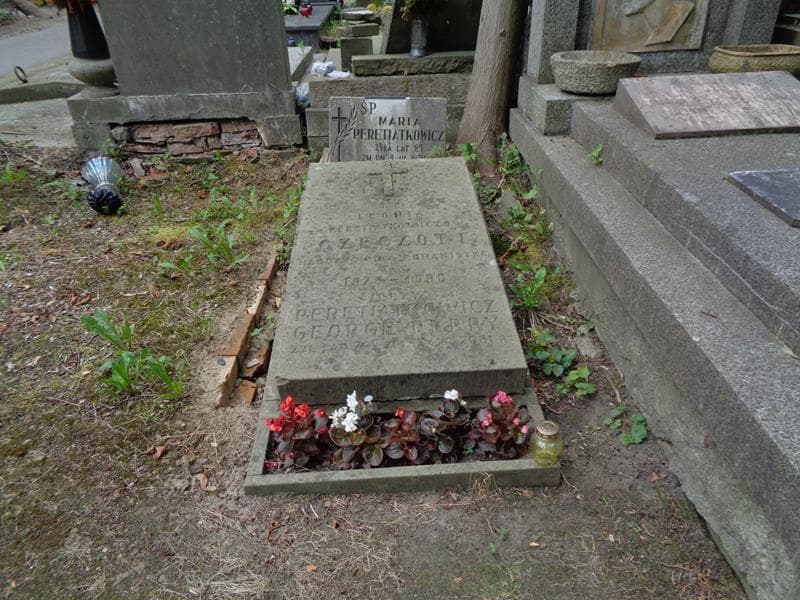 Zdjęcie grobu Leonia Czeczott (1)