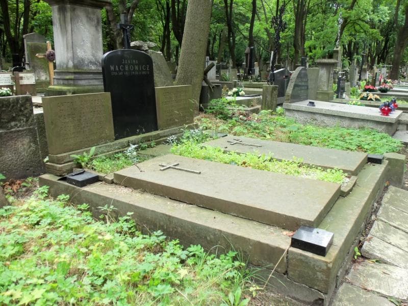 Zdjęcie grobu: Feliks Jaworski