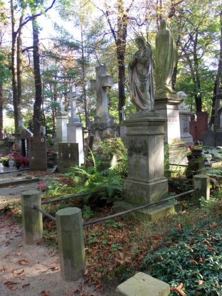 Zdjęcie grobu Michał Midwoch (1)
