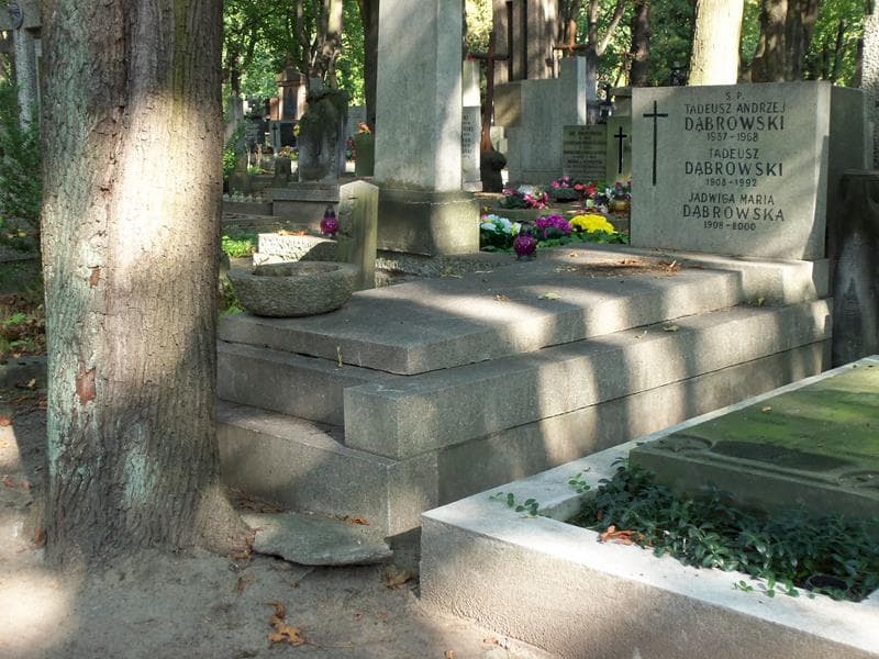 Zdjęcie grobu Tadeusz Dąbrowski (1)