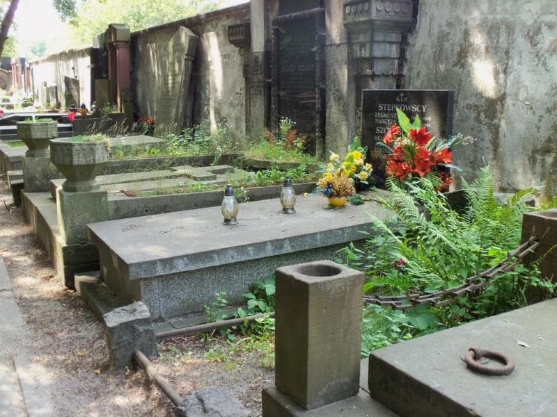 Zdjęcie grobu Narcyza Stępkowska (1)