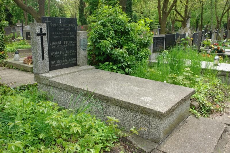 Zdjęcie grobu Zygmunt Piechurski (1)