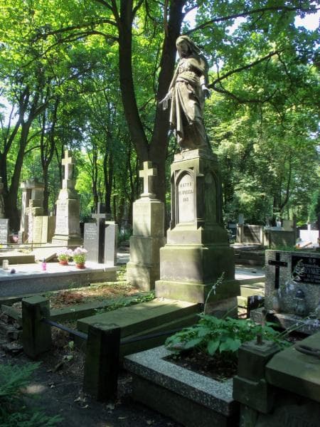Zdjęcie grobu Róża Bojanowicz (1)