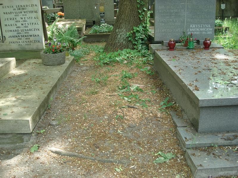 Zdjęcie grobu: Pole Grobowe
