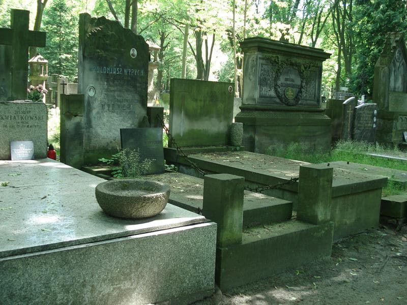 Zdjęcie grobu Apolonjusz Wypych (1)