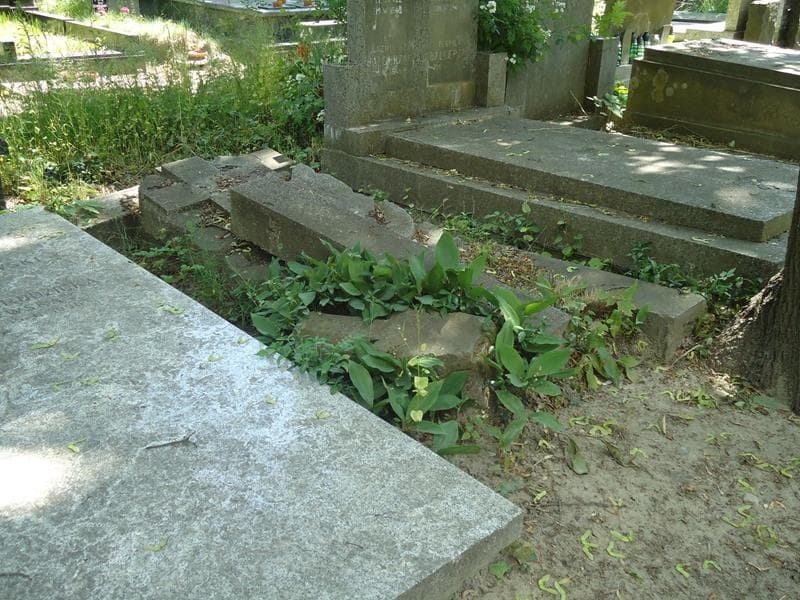 Zdjęcie grobu Stanisława Bartkowiak (1)