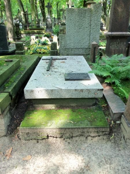 Zdjęcie grobu Józef Trenarowski (1)