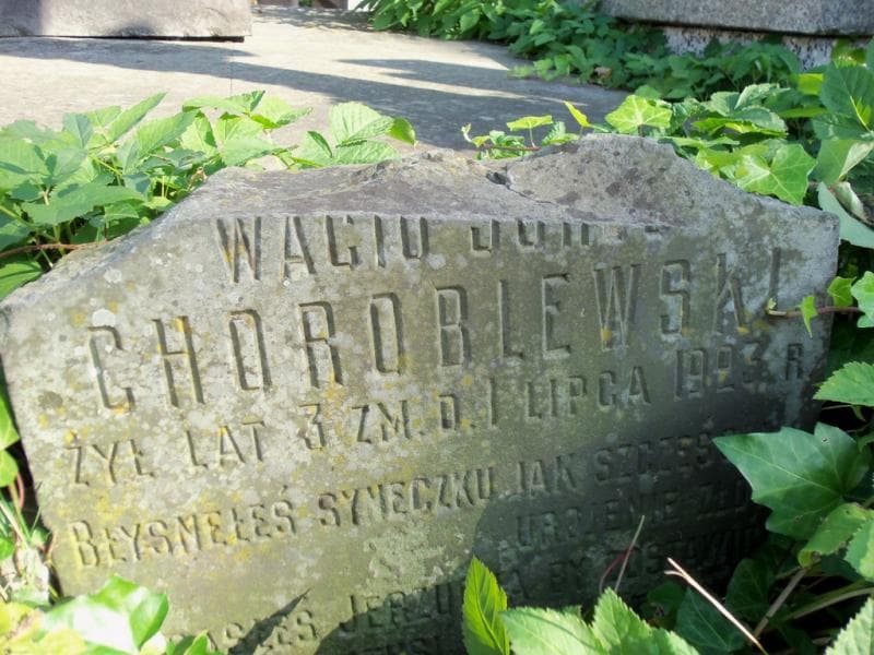Zdjęcie grobu Wacio Choroblewski (2)