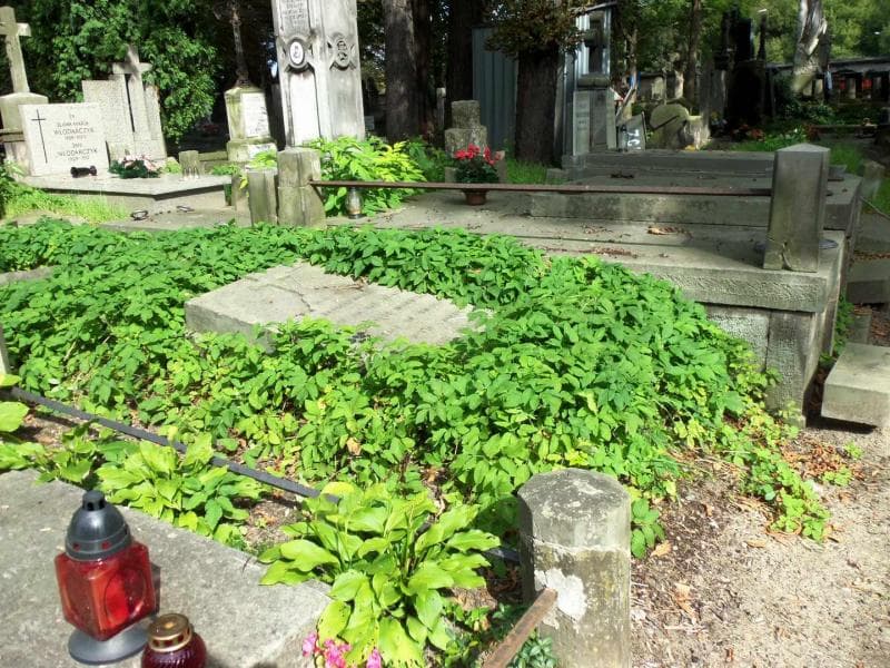 Zdjęcie grobu Józefa Kołudzka (1)