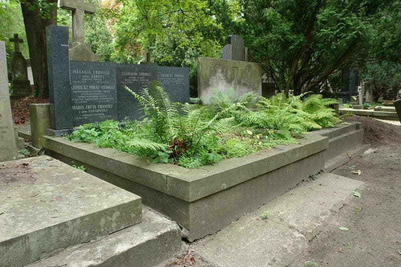 Zdjęcie grobu Stanisław Chomicz (1)