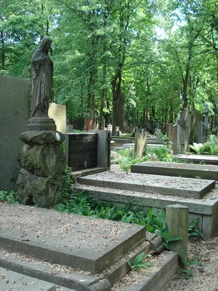 Zdjęcie grobu Antoni Bożewicz (1)