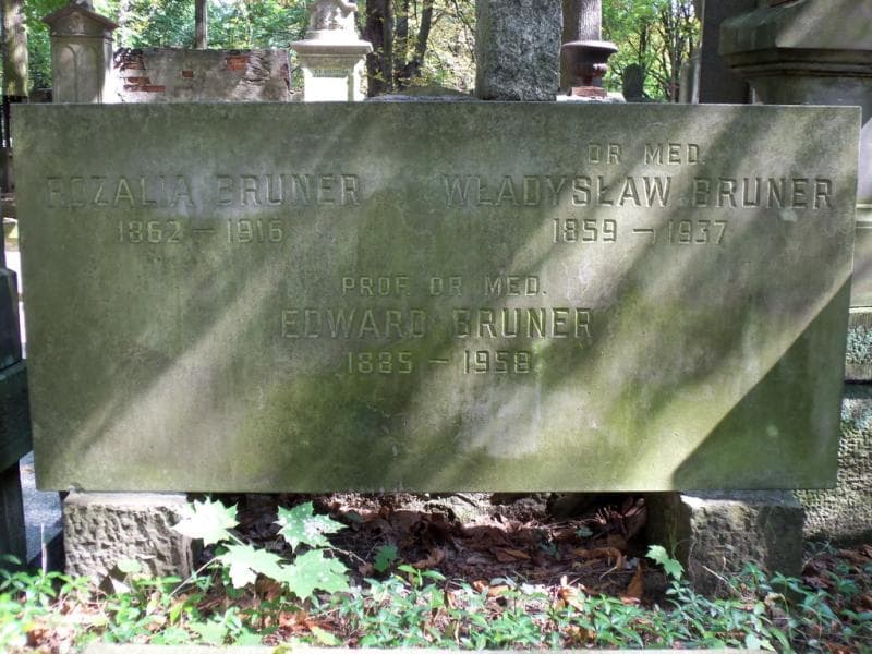 Zdjęcie grobu Edward Bruner (2)