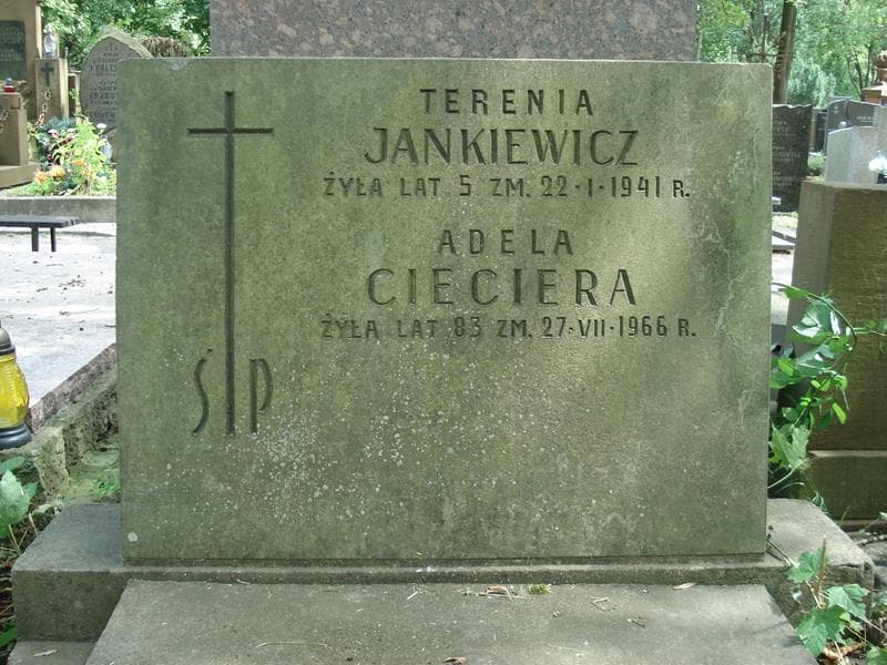 Zdjęcie grobu Terenia Jankiewicz (2)