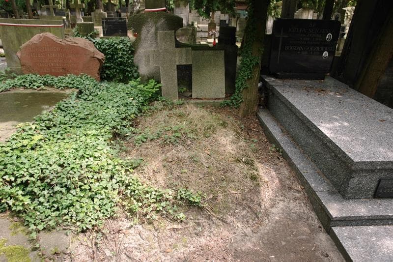 Zdjęcie grobu Witold Rydzewski (1)