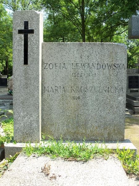 Zdjęcie grobu Zofia Lewandowska (2)