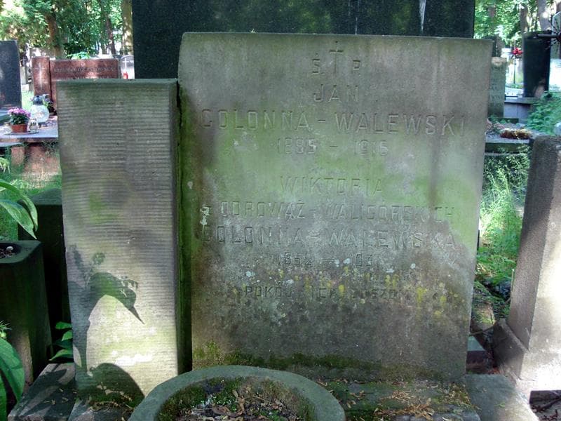 Zdjęcie grobu Jan Colonna-Walewski (1)