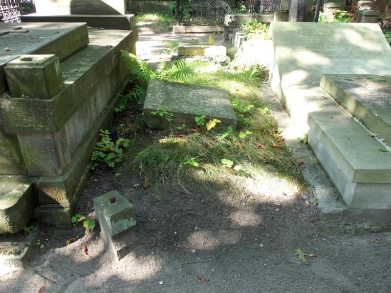 Zdjęcie grobu: Józef Wołowski