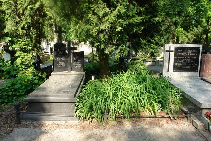 Zdjęcie grobu: Wiktor Piekara