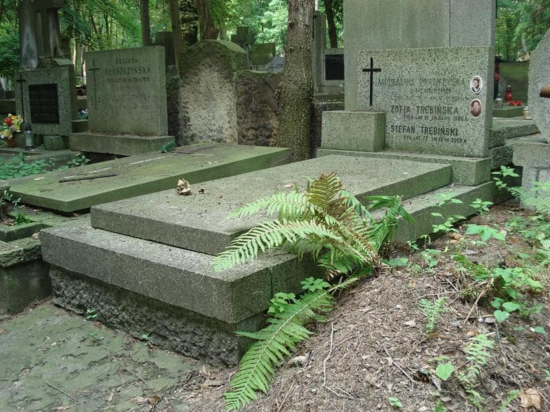 Zdjęcie grobu Michalina Pawlikowska (1)