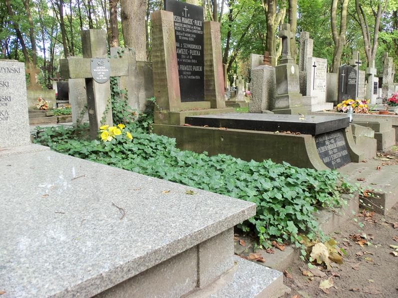 Zdjęcie grobu Janina Wadzyńska (1)