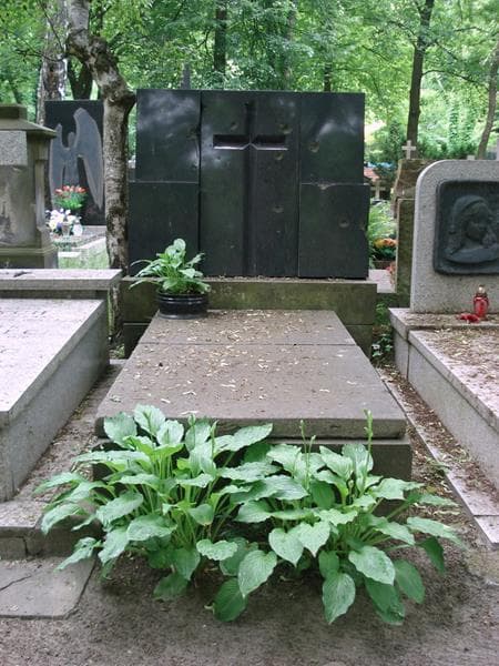 Zdjęcie grobu Stanisław Janczewski (1)