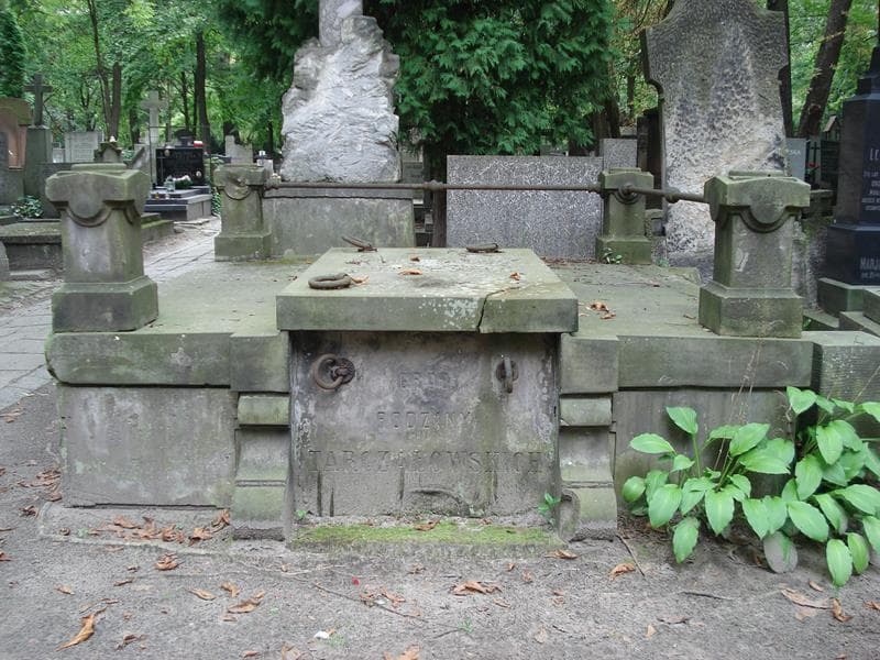 Zdjęcie grobu: Henryk Mierzejewski