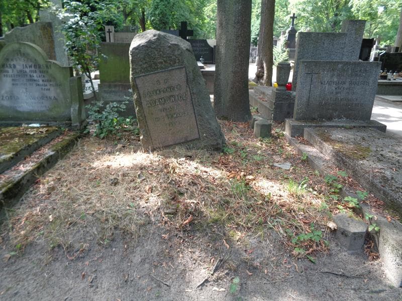 Zdjęcie grobu Aleksander Adamowicz (1)