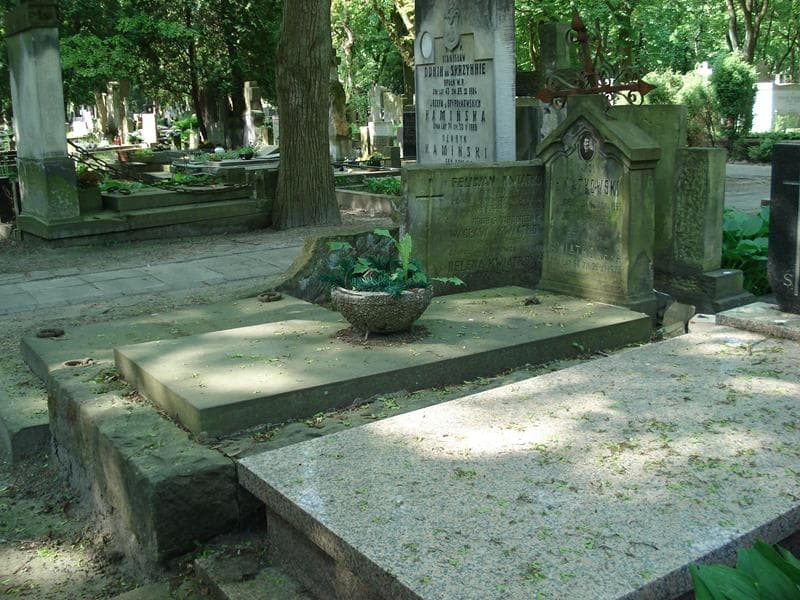 Zdjęcie grobu Stefania Kwiatkowska (1)