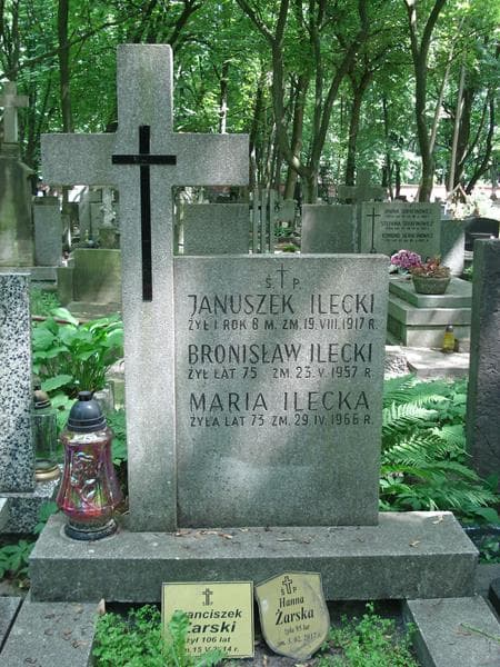 Zdjęcie grobu Januszek Ilecki (1)