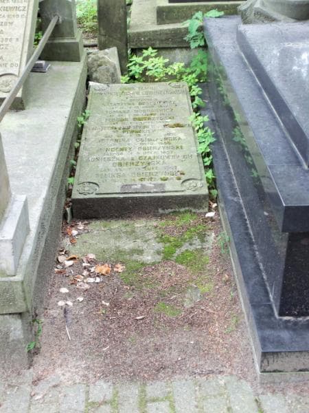 Zdjęcie grobu: Antonina Obierzyńska