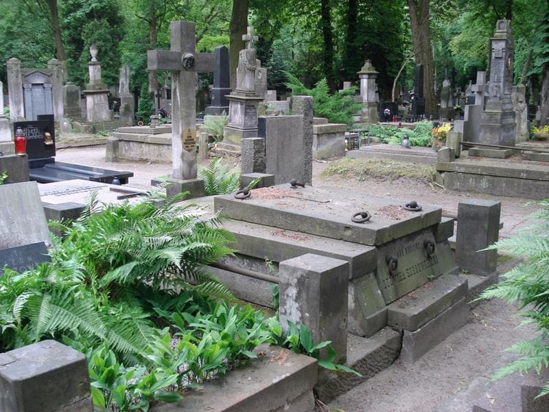 Zdjęcie grobu Leon Kazimierz Troszczyński (2)