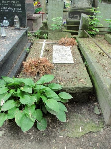 Zdjęcie grobu: Jadwiga Von Kienitz
