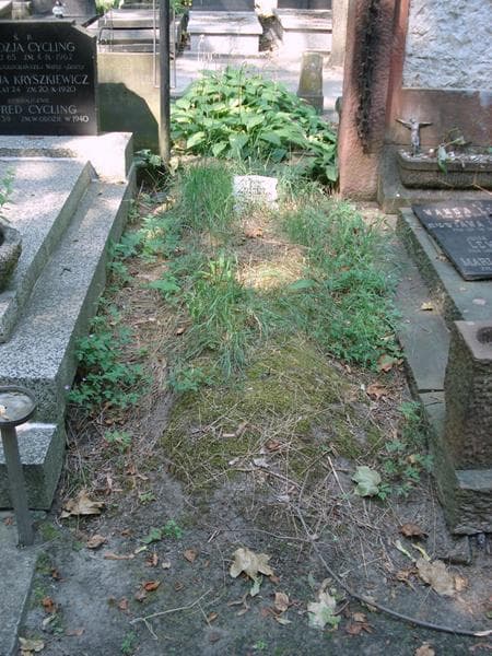 Zdjęcie grobu Pole Grobowe (1)