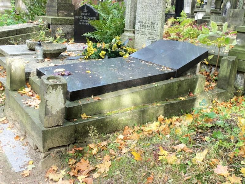 Zdjęcie grobu Władysław Bravnstein (1)