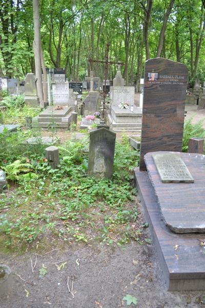 Zdjęcie grobu Emilja Gorczyńska (1)