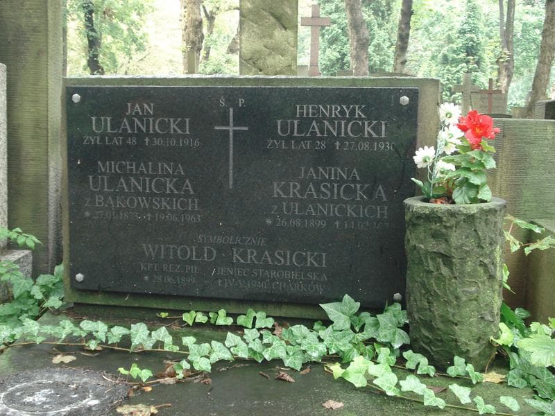 Zdjęcie grobu Michalina Ulanicka (2)
