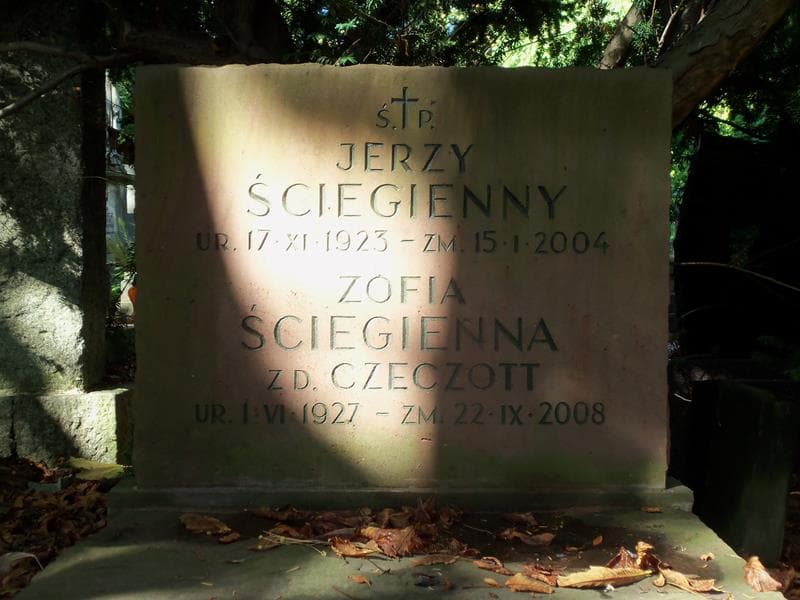 Zdjęcie grobu Antoni Czeczott (2)