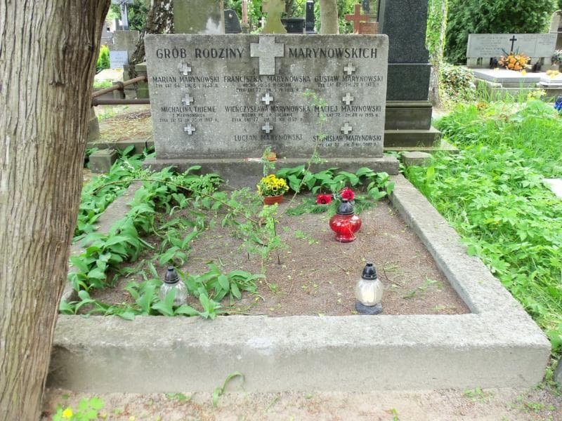 Zdjęcie grobu: Lucjan Marynowski
