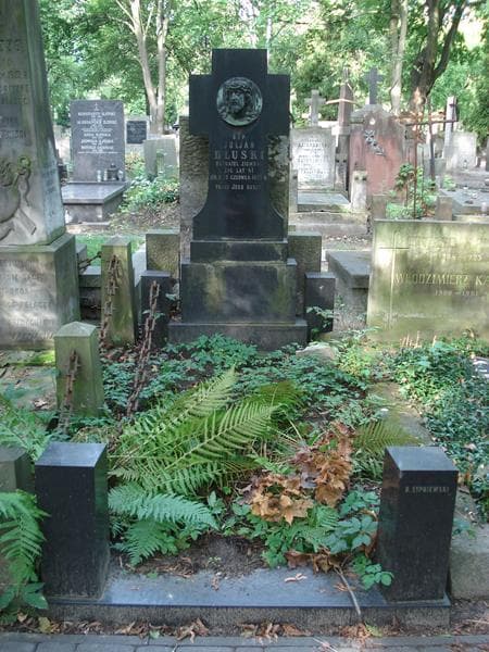 Zdjęcie grobu Juljan Dłuski (1)