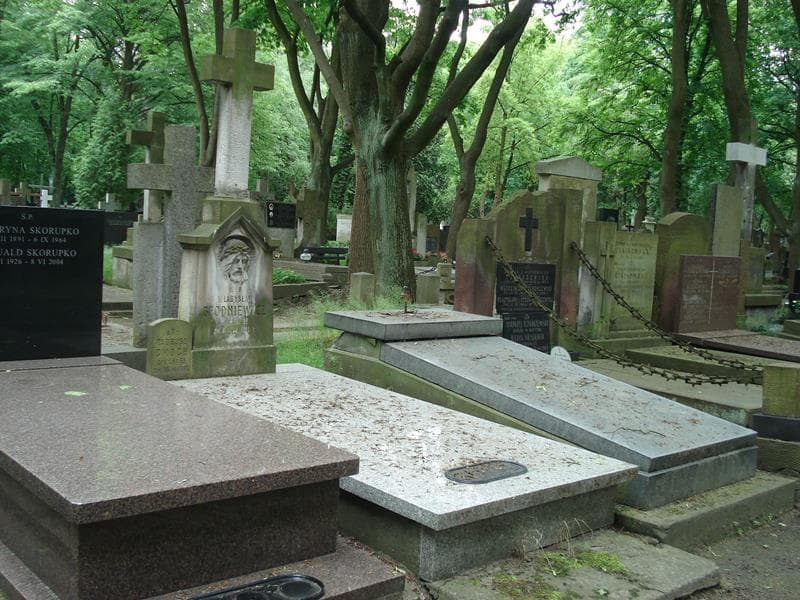 Zdjęcie grobu Władysław Brodniewicz (1)