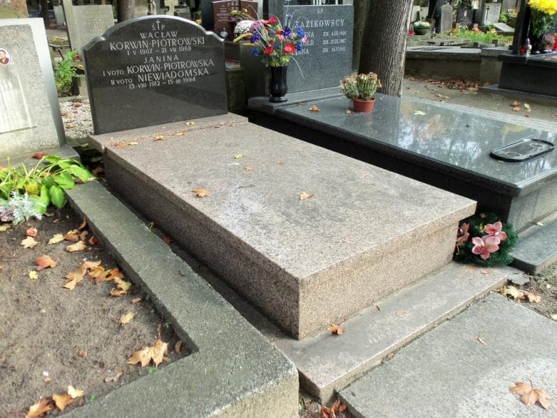 Zdjęcie grobu Janina Niewiadomska (1)
